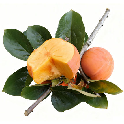 保山甜柿云南甜脆柿子苹果脆柿去皮食用日本甜柿精选3-8.5斤礼盒