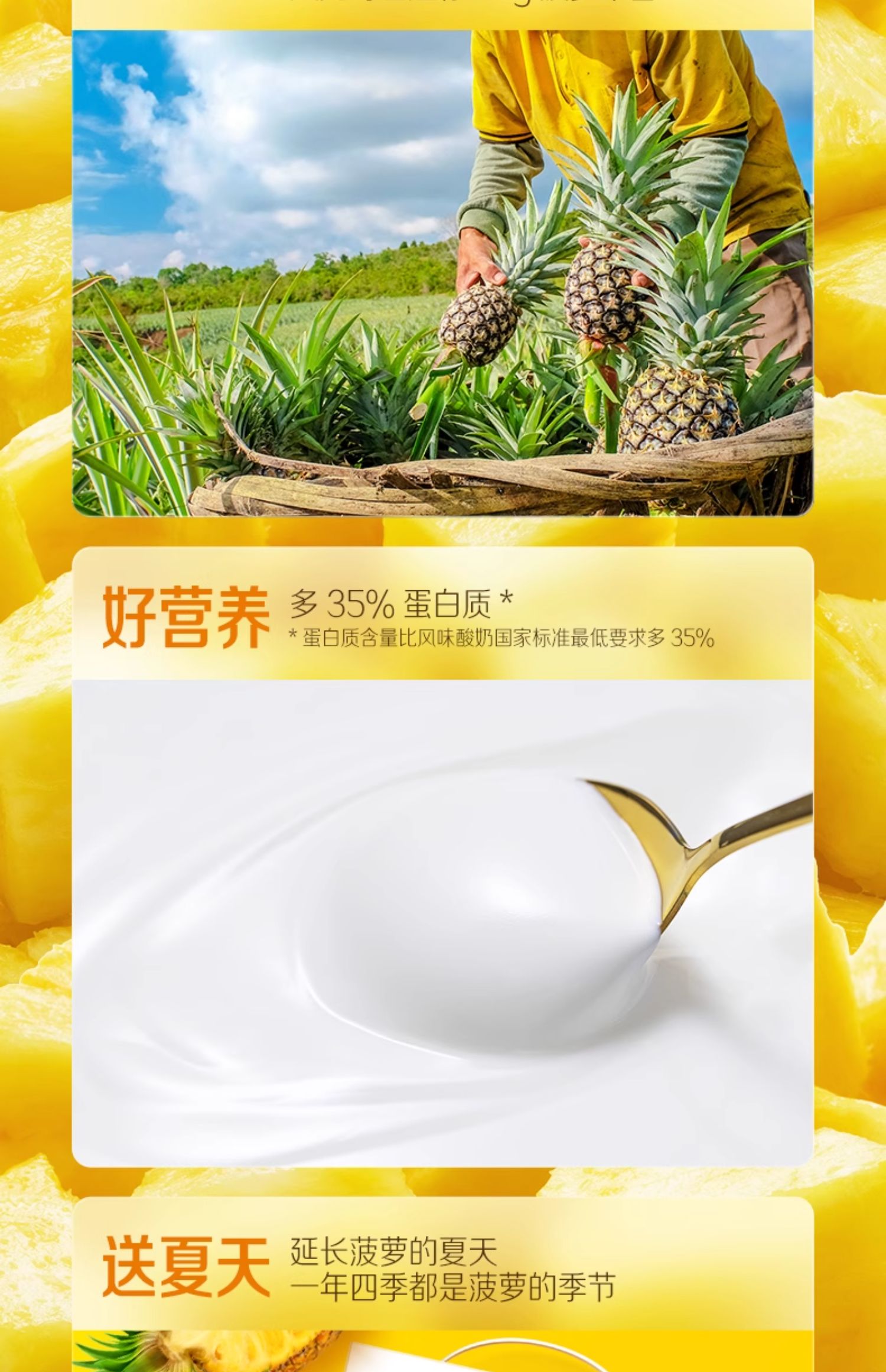 安享好物 安享C级酸奶-安慕希菠萝 风味酸奶 国标 