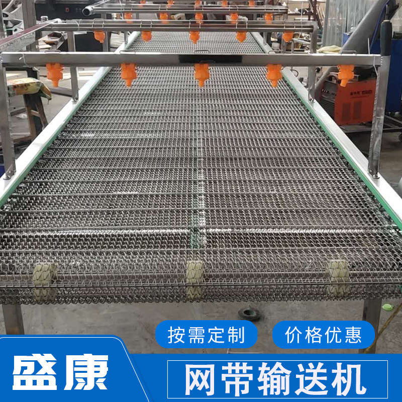 304 stainless steel mesh belt spray conveyor Plum dried vegetables snow vegetables cleaning and conveying line equipment Plate chain belt
