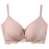 Sakura Powder Single Pack