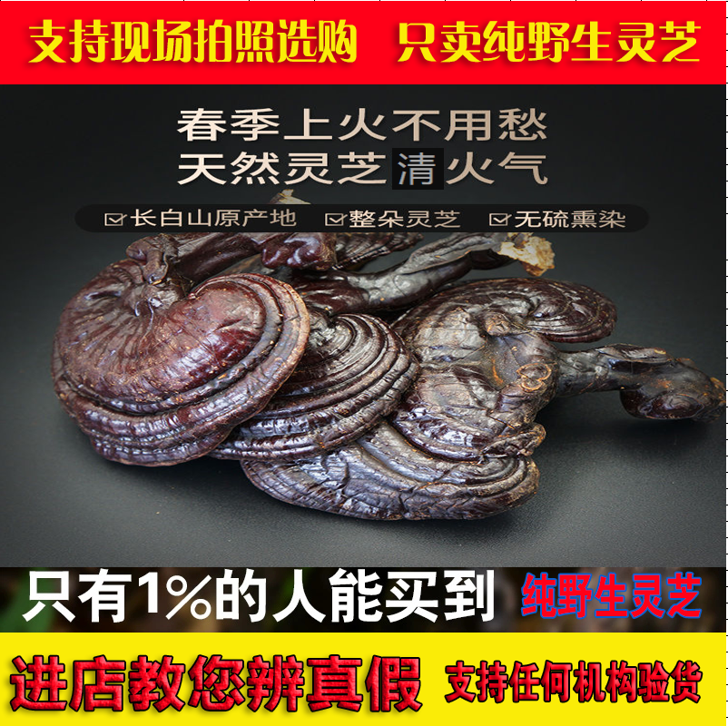 Northeast Changbai Mountain wild Ganoderma lucidum soaked in water sliced ​​spore powder broken wall natural Dalinzhi bulk 500g oil capsule