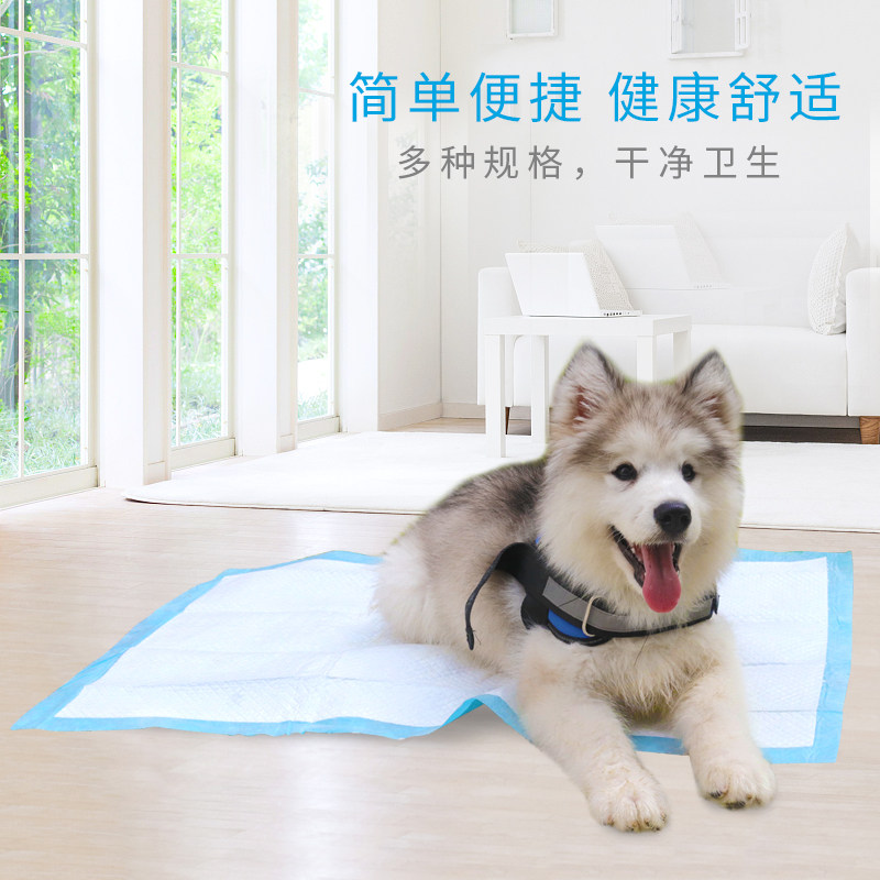 Teddy in pepper pad pet with pee pee taddy with pee noisy cat diaper piece and thick urine pad for training diaper