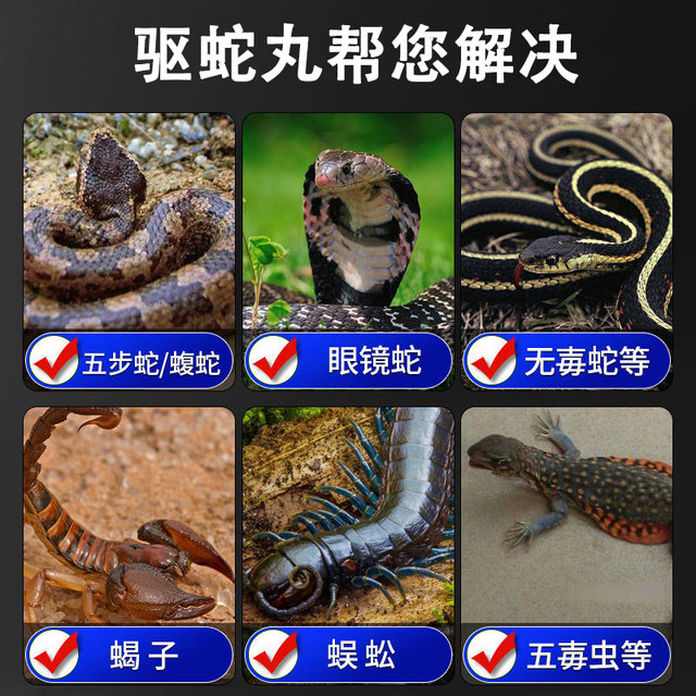 Rainproof Realgar Snake Repellent Pills for Home Use, Outdoor and Indoor, Long-Lasting Snake Bite Prevention, Special Snake Repellent Tool, Non-Sulfur Medicine