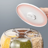 Классификация кухни Arnacin Разное зерновое рисовое ствол против широкоизотата