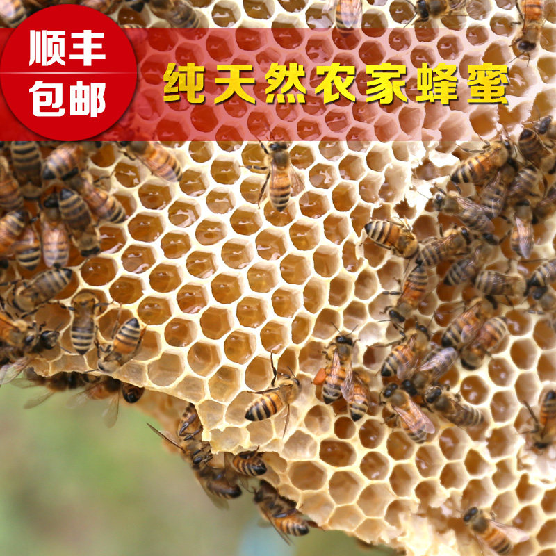 古中方纯正天然农家自产野生土蜂蜜百花蜜蜂蜜220g无添加