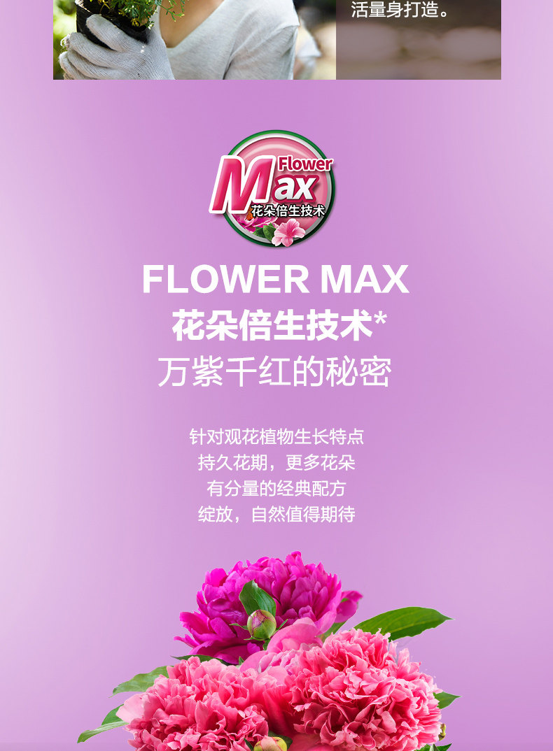 [花卉2502_02.jpg]