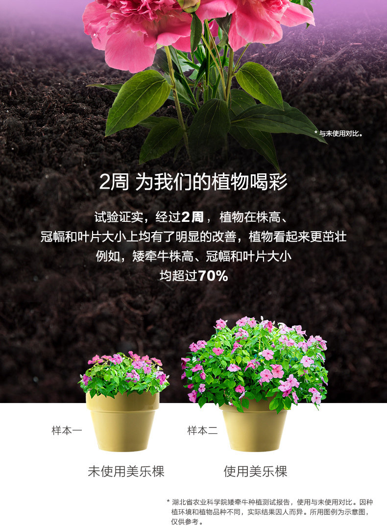 [花卉2502_03.jpg]