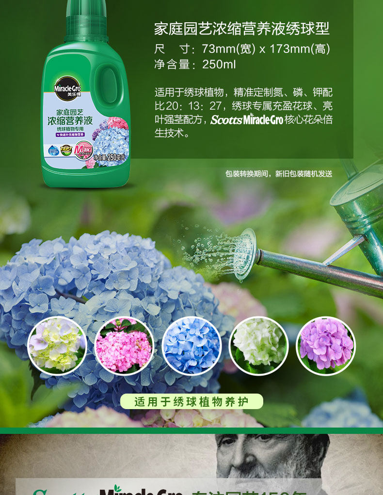 Hydrangea 20-3_04.jpg