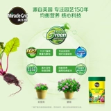 Семейство Meluki.