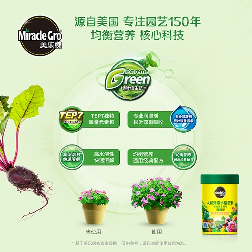 Семейство Meluki.