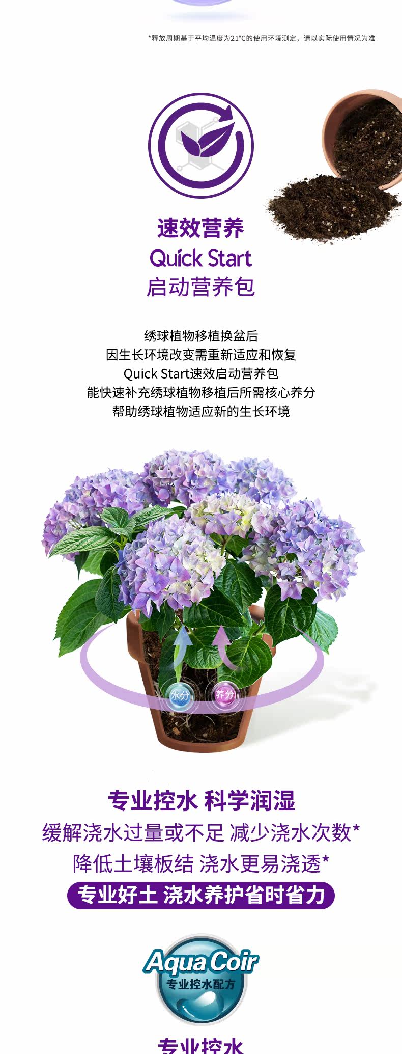 Hydrangea 8l2_02.jpg
