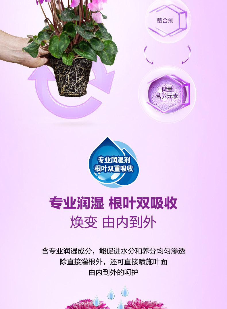 [花卉2502_05.jpg]