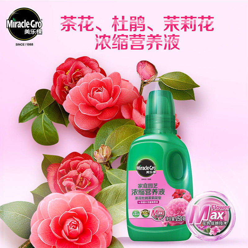 Mele Tree Acidic Triangle Plum Tea Flowers Jasmine Flower Jasmine Flower Rhododendron Flowers Special Flower Fertilizer Nutrient Solution Fertilizer