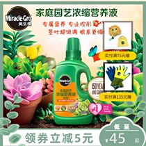 Meilake HOME GARDENING FERTILIZER SUCCULENTS NUTRIENT SOLUTION 500ML SUCCULENTS PROFESSIONAL FERTILIZER