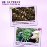 Meileti Garden Art Fleder Federation Federator