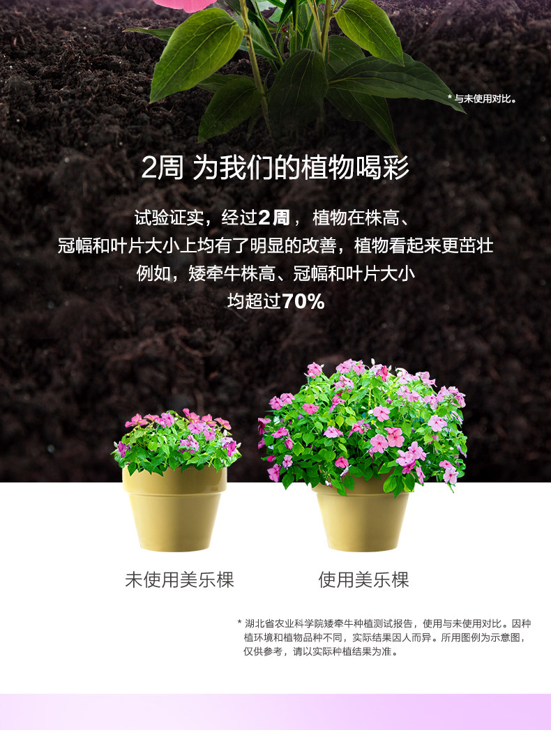 Flower-2_02.jpg