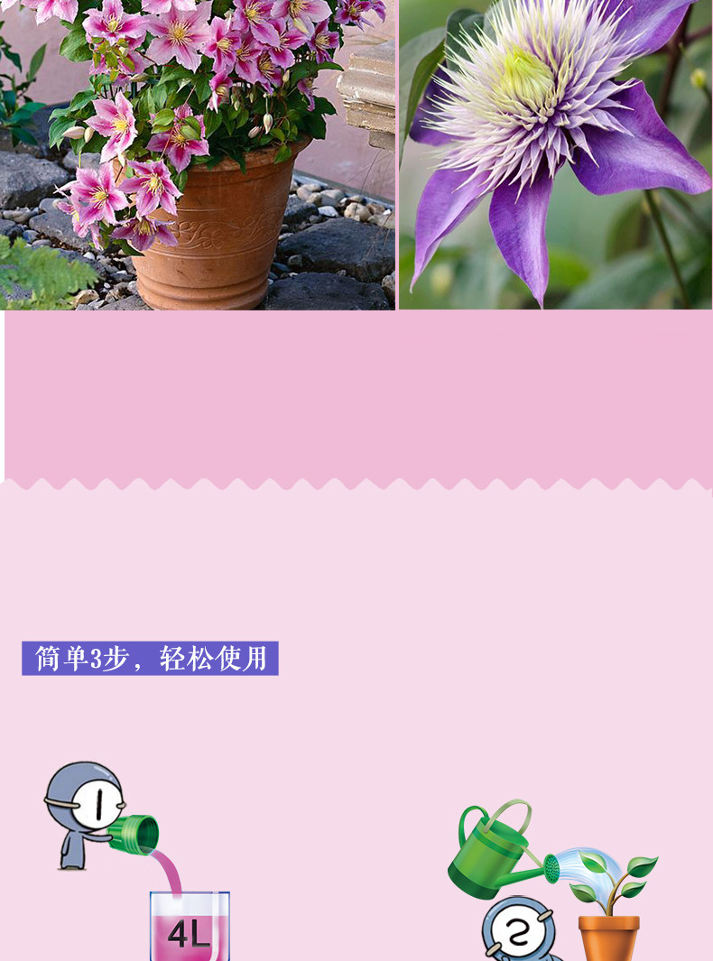 D -_ _ D -2_02.jpg