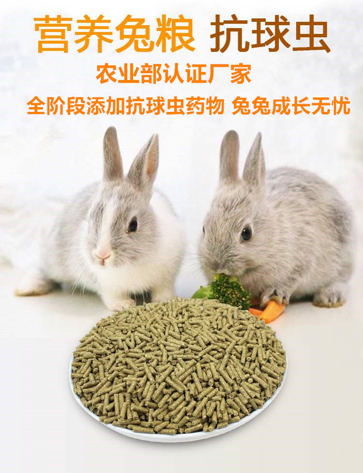 Rabbit Yard Self-Use Rabbit Grain Pet Rabbit Coeared Rabbit Cat Cat Cat Rabbit Food Rabbit Food Rabbit feed Multi-province 5 catty