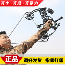 2024 new model Niutou 201 compound bow dual-purpose bow and arrow for adults archery steel ball and fish shooting artifact Cold Soldier King