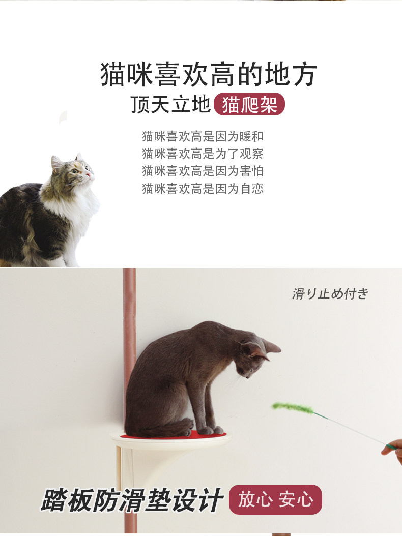 Cat Clating Rack_02.jpg