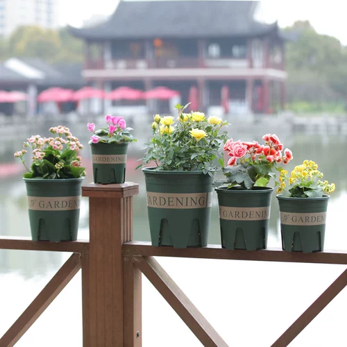 Root Genlon Pen Пластиковый цветочный бассейн дом творческий творческий зеленый пируштер Плактоид Пластиидные растения Внутренние бассейн Циншан можно оборудовать подносом