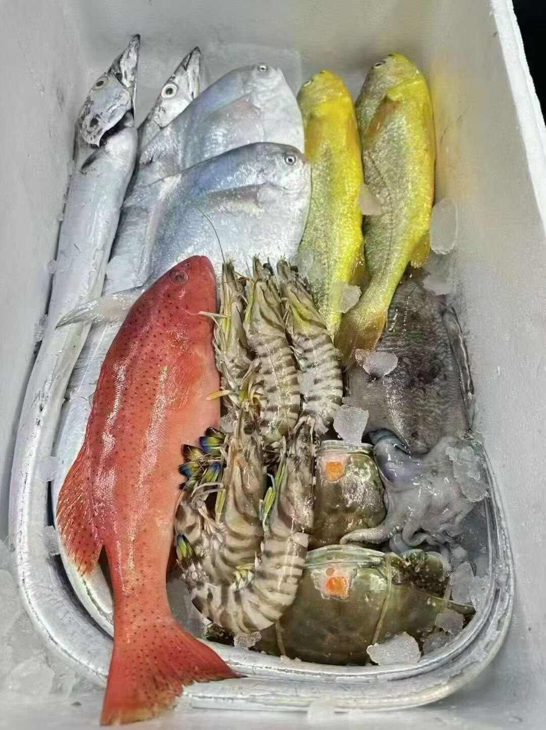 舟山嘉鑫海岛鲜礼