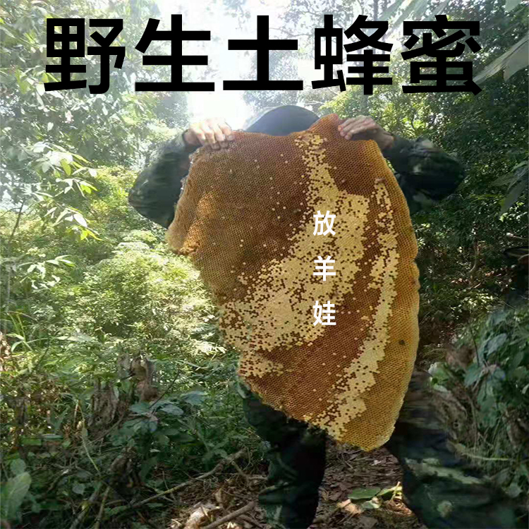 Plateau Wild Honeycombs Honey Wild Honey Wild Thyme Wild Honey 500 gr Wild Honey
