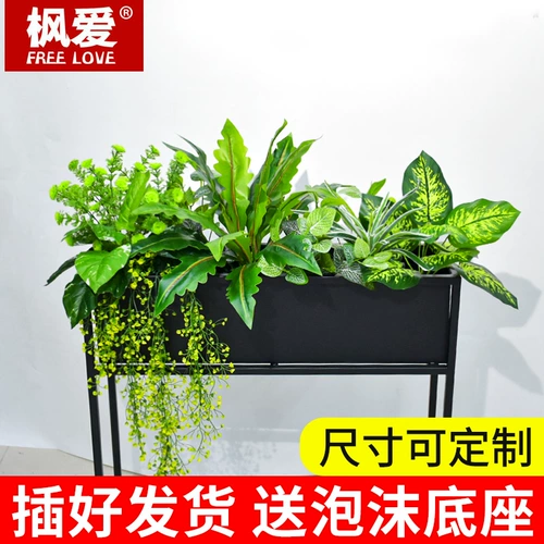 Ложное растение семи -летняя магазин более 20