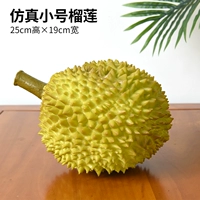 Маленький Дуриан