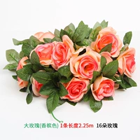 Цвет шампанского большая роза