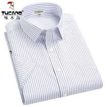 Woodpecker Short Sleeve Shirt Male Summer Ice Silk Thin business is in middle age Body Stripe free of scalding white shirt