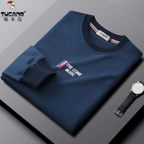 Woodpecker Autumn Sweater men loose casual long sleeve top spring and autumn men trend round neck pullover base shirt