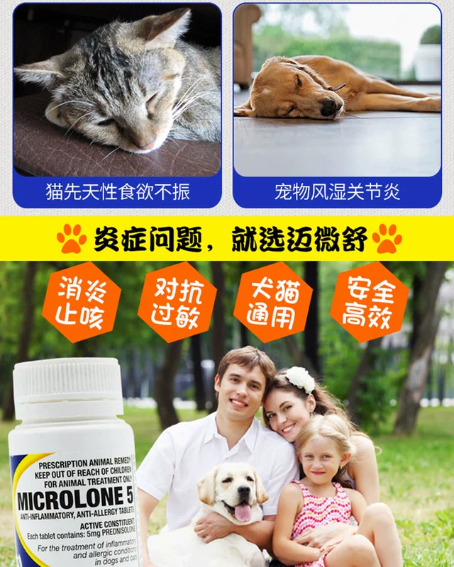 Úc Maiweishu 5mg điều trị chó cưng chó mèo đường hô hấp trên nhiễm trùng viêm phổi kennel ho số lượng lớn 30 viên - Cat / Dog Medical Supplies