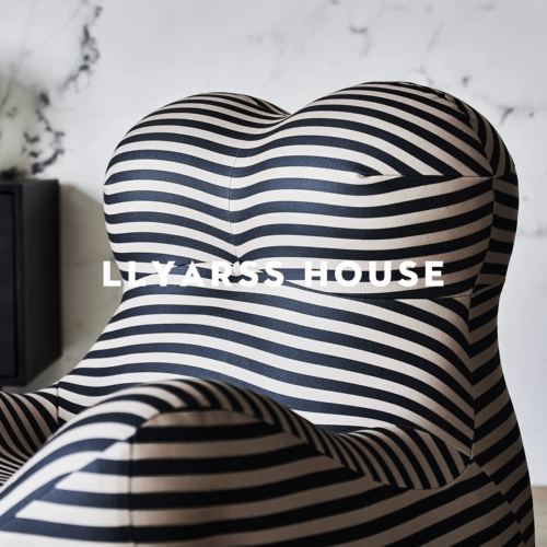 Llyarss Lias/Casual Chair/Итальянский минималистский/ткань/стул+педаль/одиночный диван/yfn