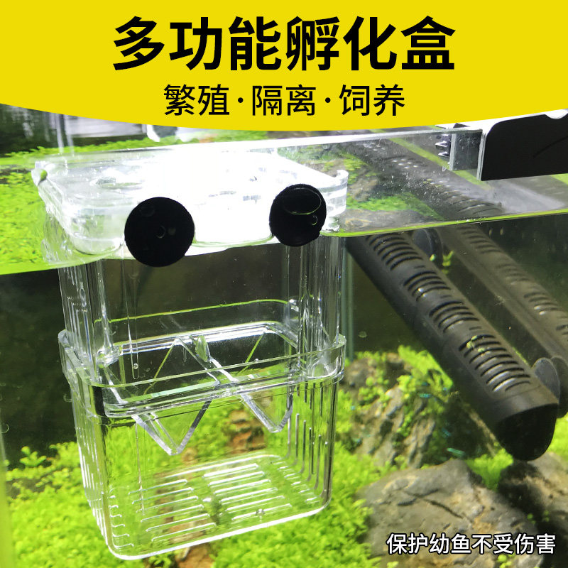 Peacock fish breeding box isolation box fish tank aquarium floating acrylic turtle juvenile fry hatching pneumatic delivery room