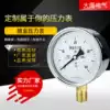 Membrane box pressure gauge YE100 micro pressure gauge kPa meter Gas meter DN15 M20*1 5 Matching burner