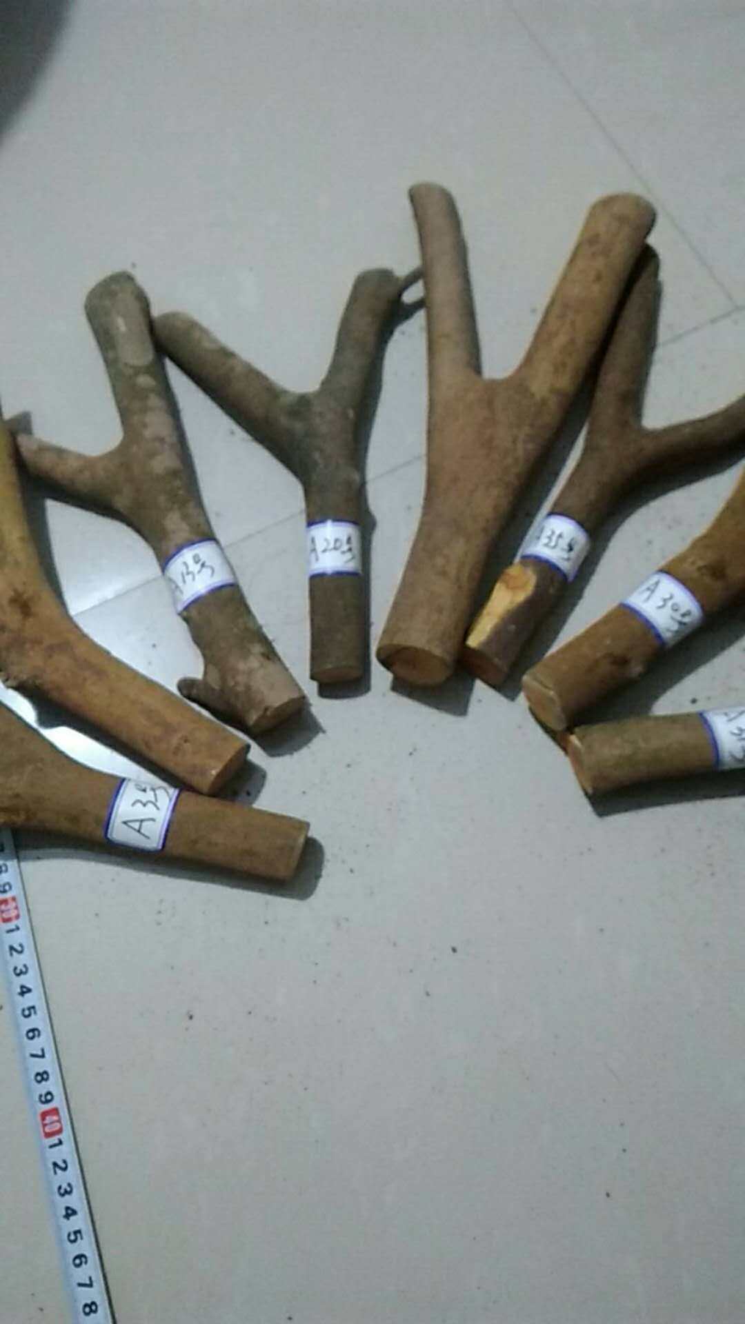 Wild Tea Tree Slingshot Material Goat Horn Slingshot Branches Tree Branches Tree Hook Diy Hand Hobby Raw Material