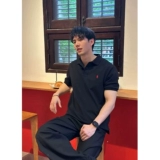 Пони, летний комплект, тонкая футболка polo для отдыха, спортивные шорты, штаны, с вышивкой, изысканный стиль, короткий рукав