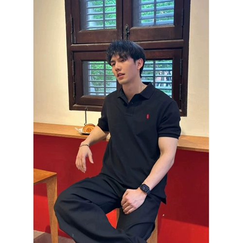 Пони, летний комплект, тонкая футболка polo для отдыха, спортивные шорты, штаны, с вышивкой, изысканный стиль, короткий рукав