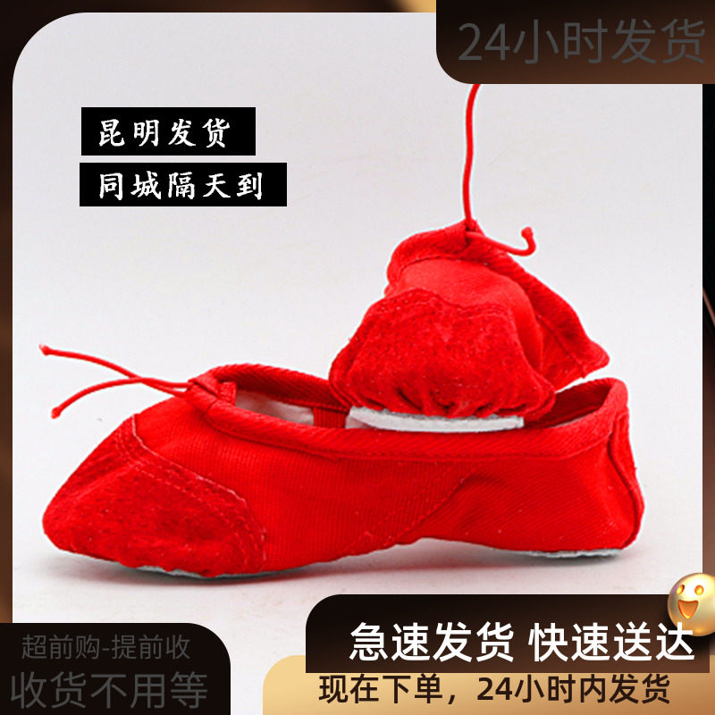 Yunnan Kunming boys and girls dance shoes soft soles practiced soft soles ballet cat claw shoes canvas shoes
