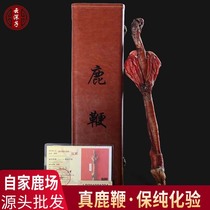 Deer whip whole fresh bubble wine can be furry plate pill Jilin plum deer