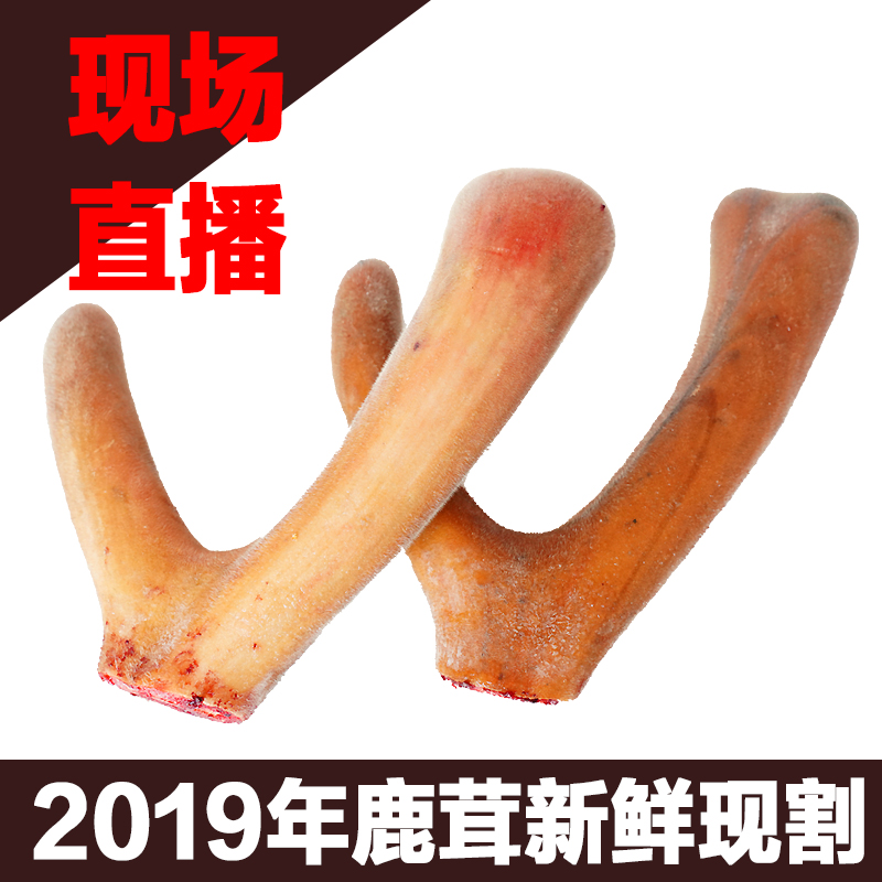 Jilin Sika deer fresh antler fresh whole antler branch wax tablets Male tonic sparkling wine antler blood tablets