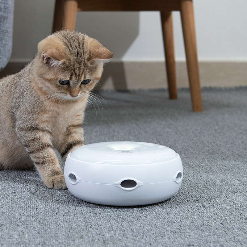 年金大工回る猫器- asotore.jp