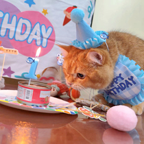 Pet cats celebrated their birthdays with hats bibs bibs and mouth towels and small dog heads were decorated and dressed up for photos.