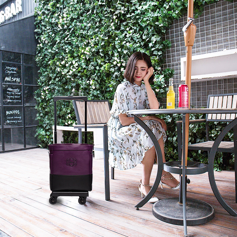 Japan New Business bag Hand bag swany lever luggage female universal wheel boarding 16 inch travel luggage