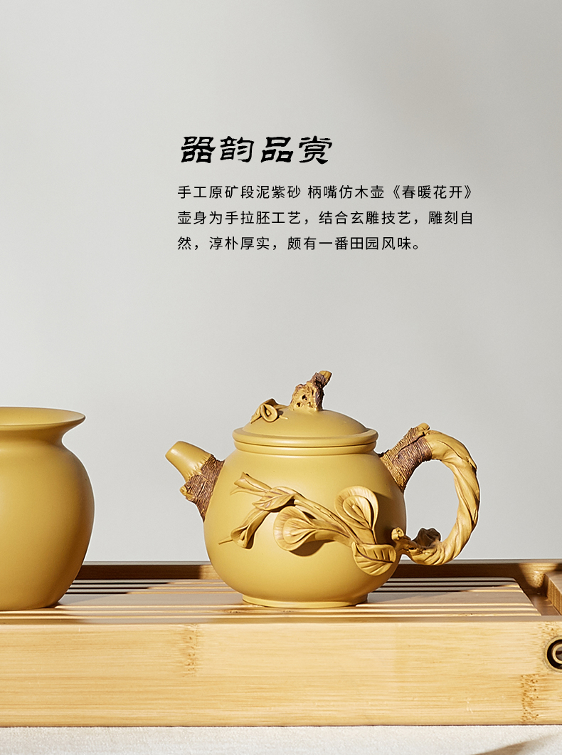 Shadow enjoy imitation wood are it Chen Dongzhu famous tea is purple sand teapot kung fu tea set piece of clay ore single pot of Y