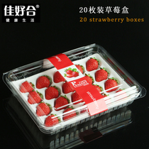 Jiahaohe strawberry packaging box disposable plastic express packaging box paper tray strawberry inner tray single-layer fruit box