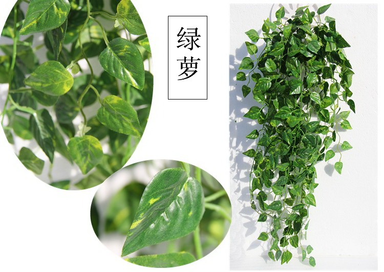 Mô phỏng cây thường xuân cây thường xuân lá hoa dây leo treo tường làm vườn ống trang trí cây xanh trần hoa - Hoa nhân tạo / Cây / Trái cây hoa mai giả