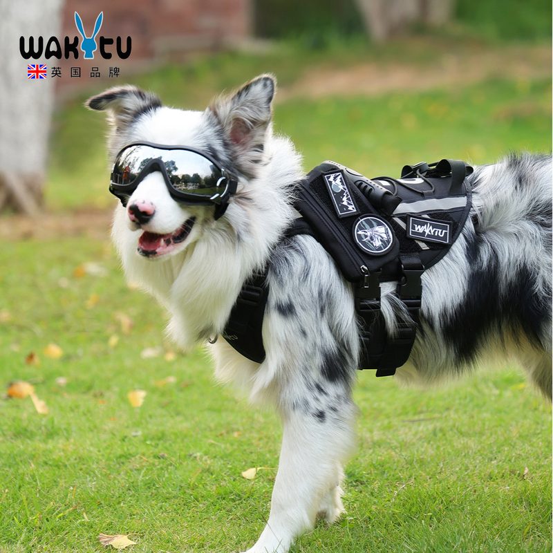 Wakytu Dog Harness Meteorite Border Collie Leash Medium and Large Dog Vest-Style Pet Outdoor Walking Leash Wakytu Dog Harness Meteorite Border Collie Leash Medium and Large Dog Vest-Style Pet Outdoor Walking Leash