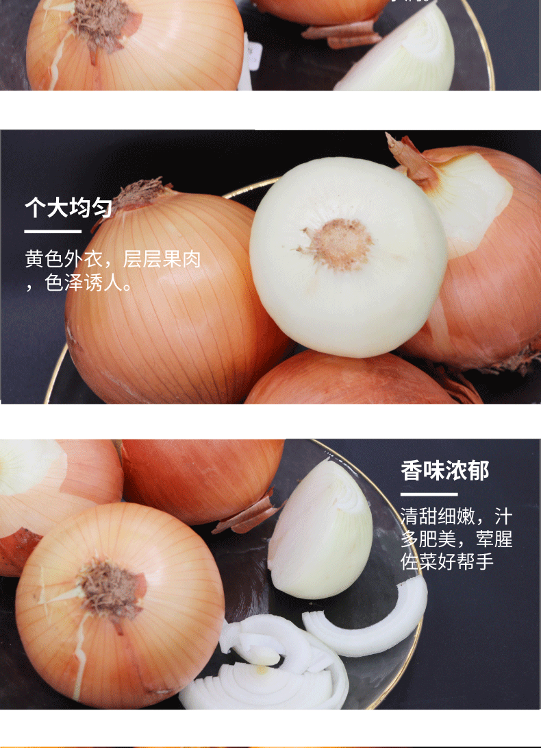 甘肃黄皮洋葱 5斤 图5